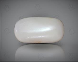 Natural White Coral ( Safed Mooga) Certified 9.78 CTS. ( 91530 )